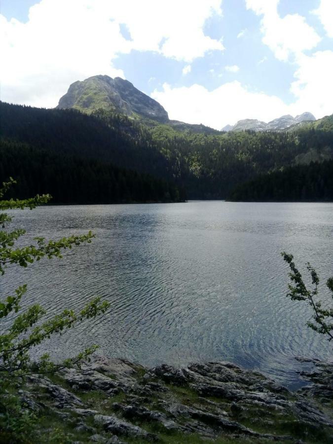 Apartments Durmitor Žabljak 外观 照片